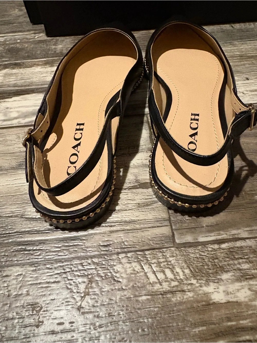 Coach Vae Skimmer Slingback Flat Sandals with Pointed Toe